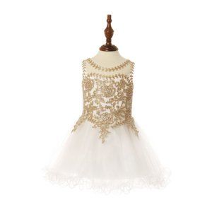 CINDERELLA COUTURE Elegant Illusion Tulle Dress Gold Coil Lace Multi Sizes 5017B